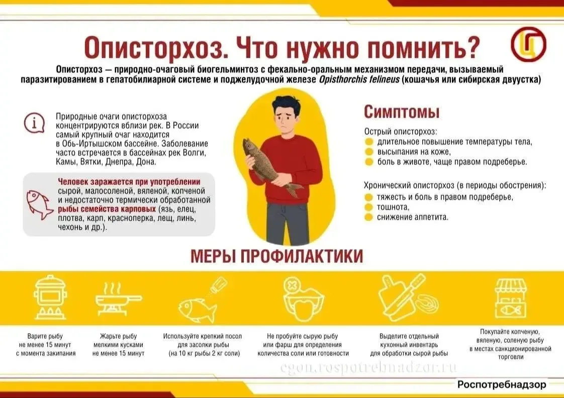 🪱 Как не подхватить паразитов из рыбы, рассказали жителям Якутии

Рыба полезна для здоровья, но ино