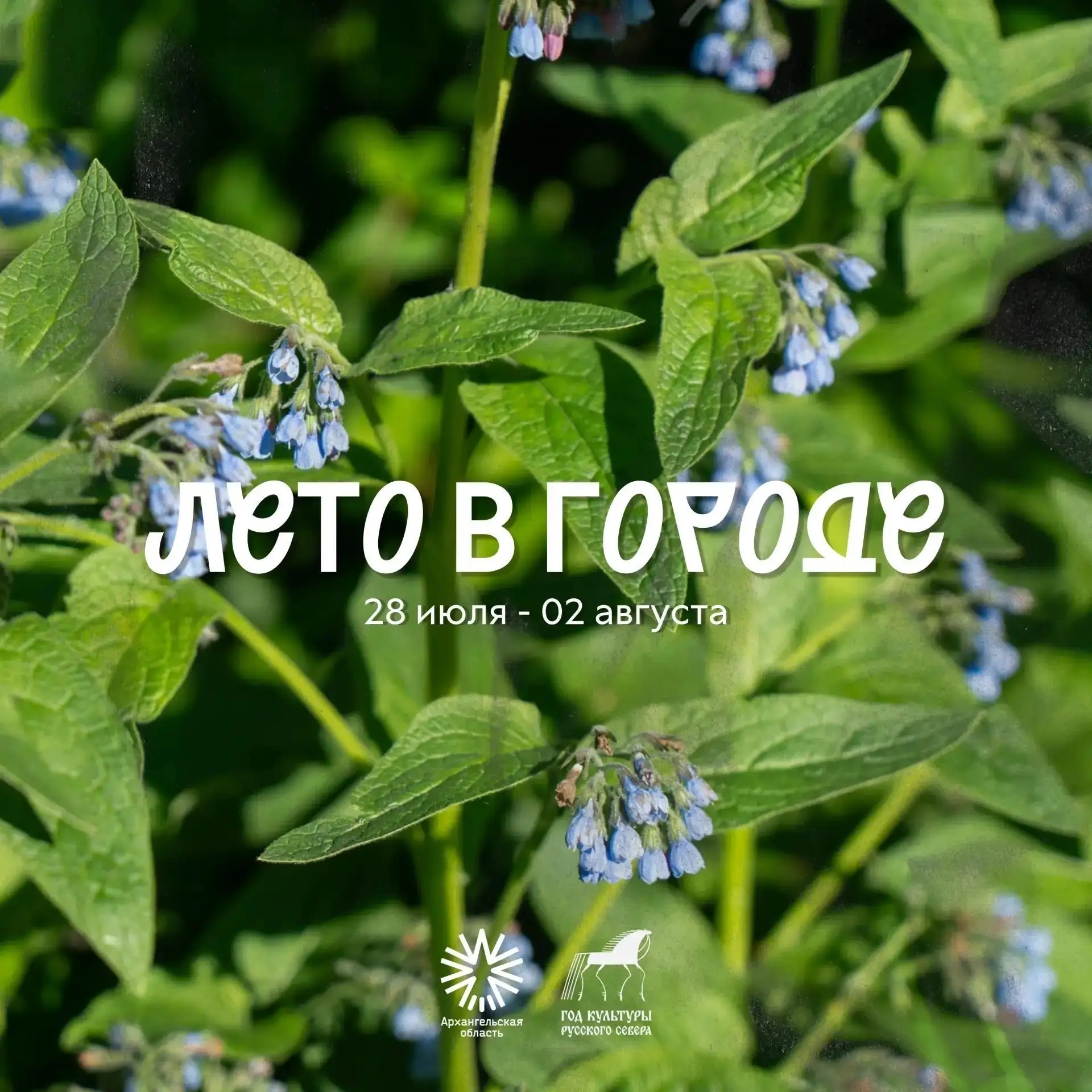 🌿 Есть планы на летний вечер?

В Архангельске продолжаются события в рамках Года культуры Русского 