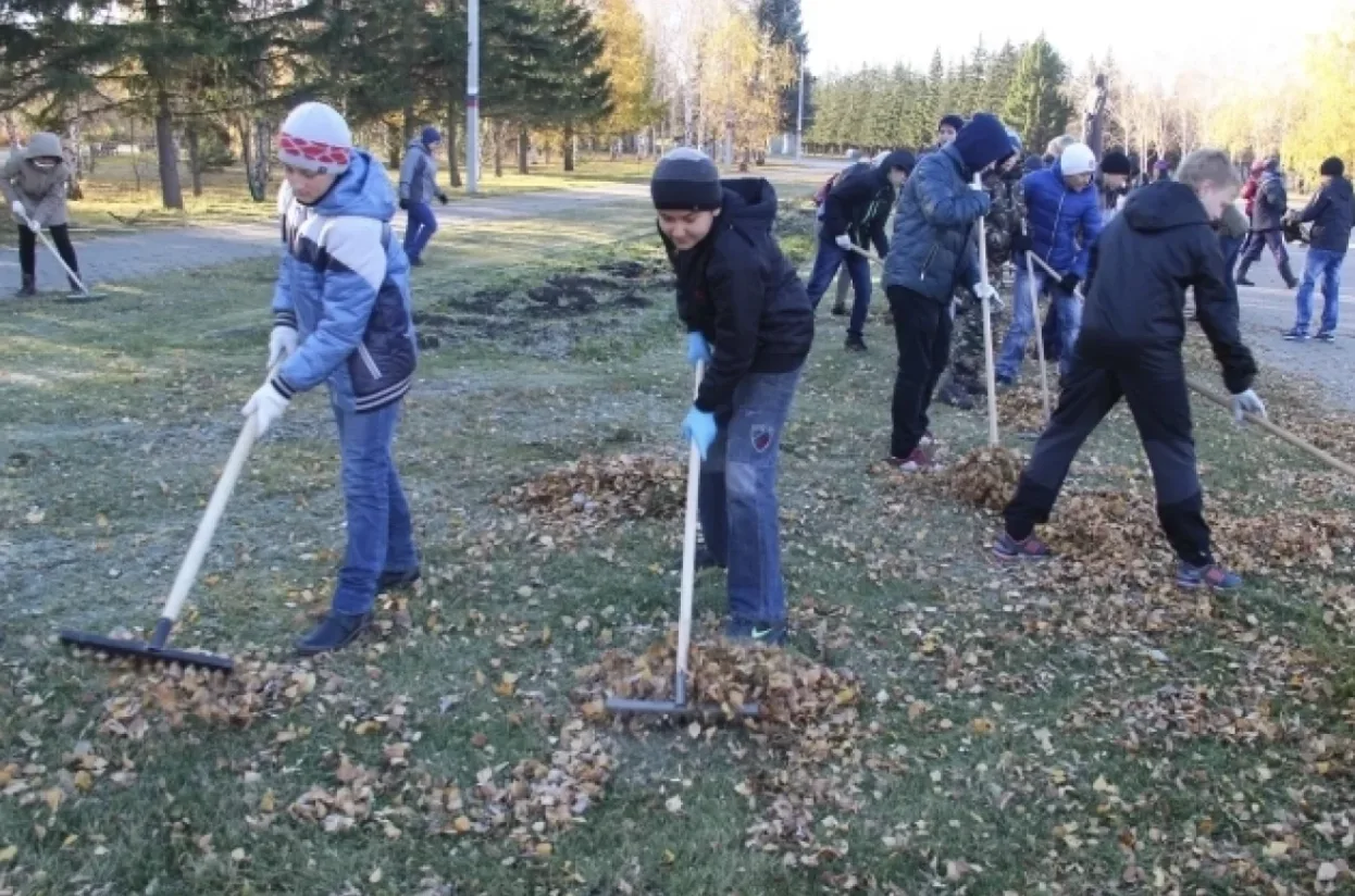 Живые датчики. Как на загрязнение реагирует городская среда