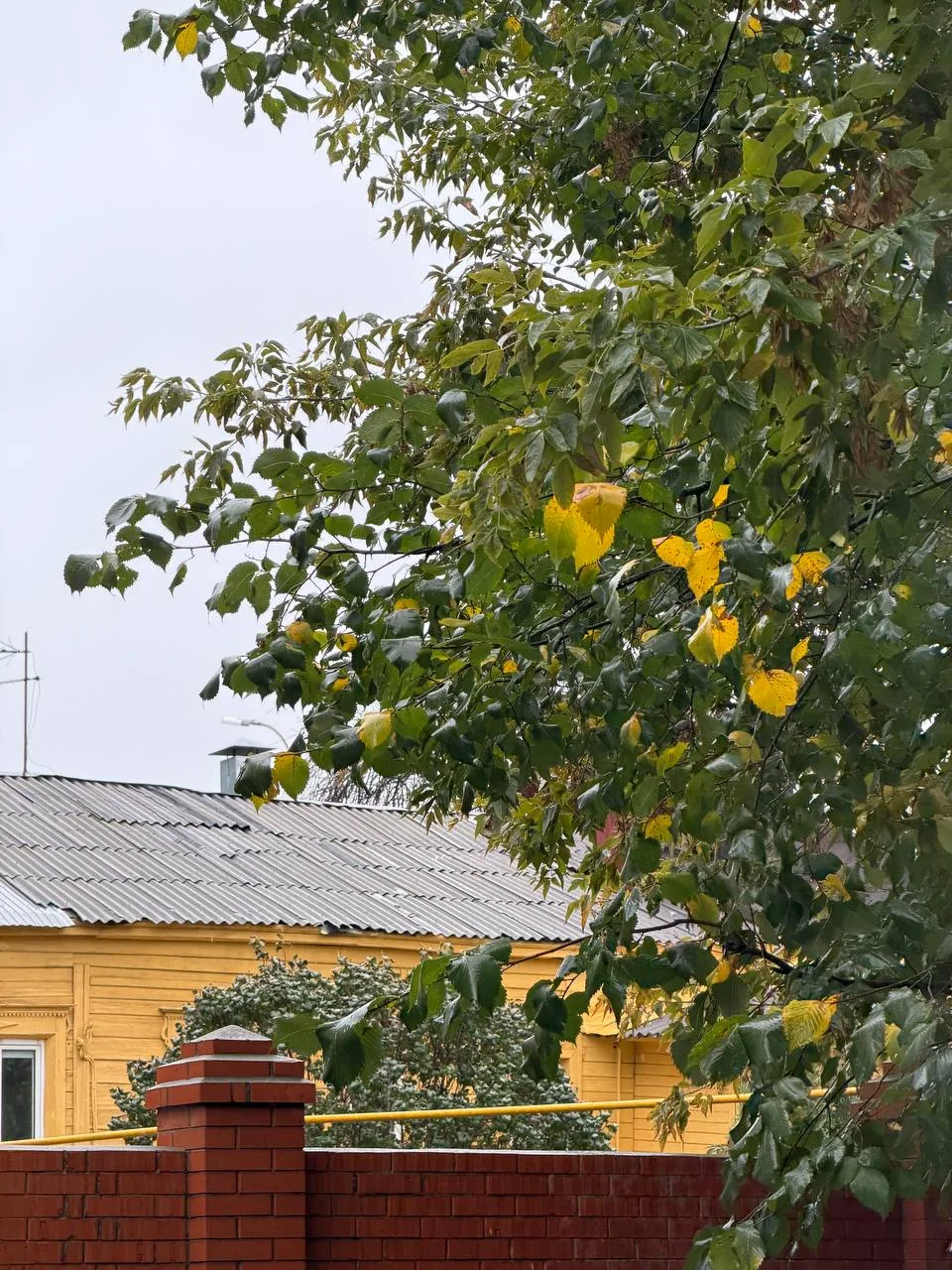 Самара уже в осенних тонах 🍁