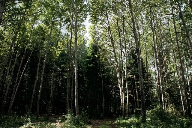 Красота рядом💖🌱
