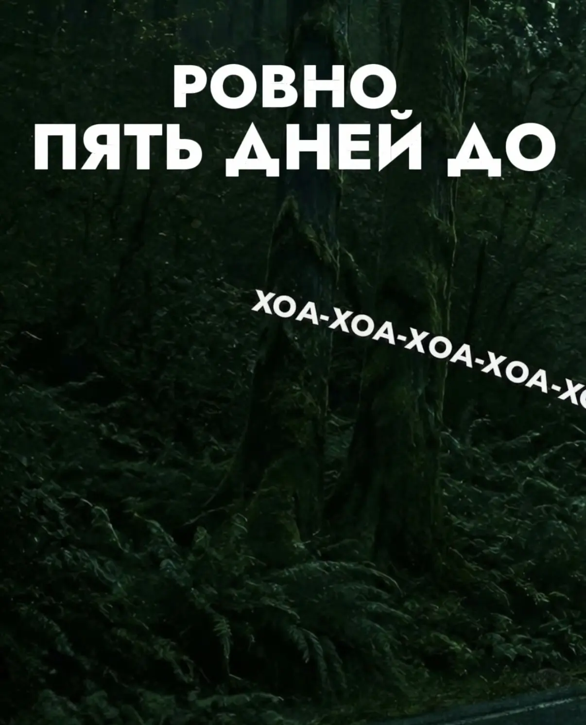 Хоа-хоа-хоа🤫