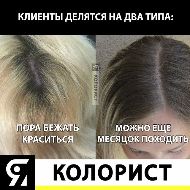 ☄️  im-prof.com это приложение уже стоит в телефоне каждого парикмахера, стилиста, коло...