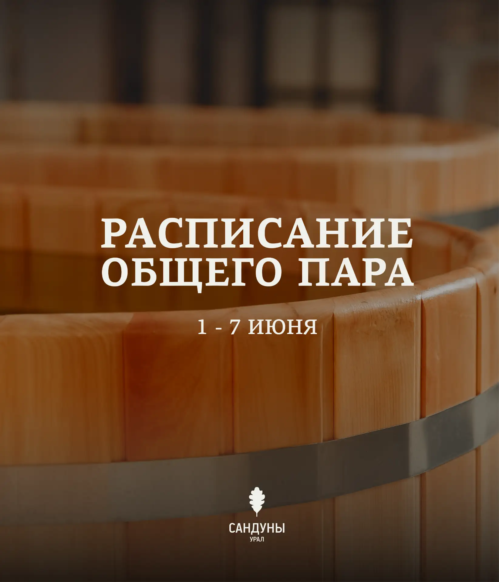 Общий пар🌿