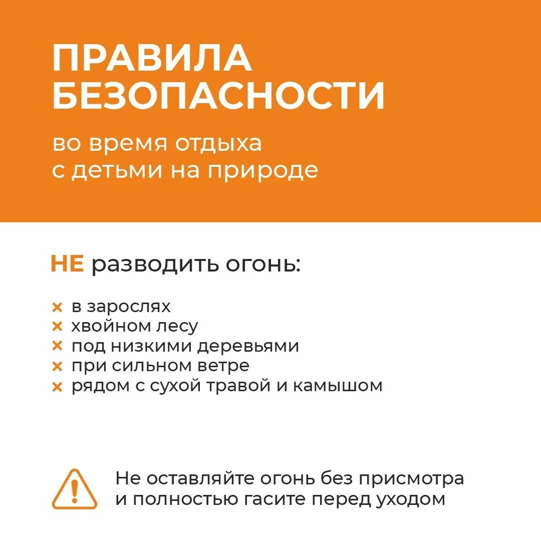 Обеспечьте безопасность во время отдыха на природе с детьми‼