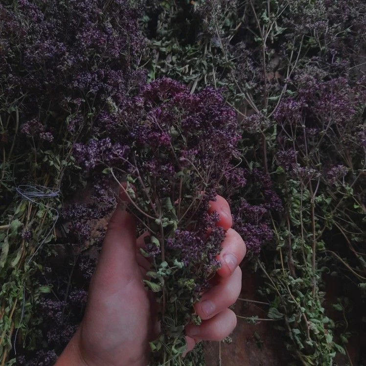 Очищение дома от негатива и сущностей. Окуривание полынью 🌿