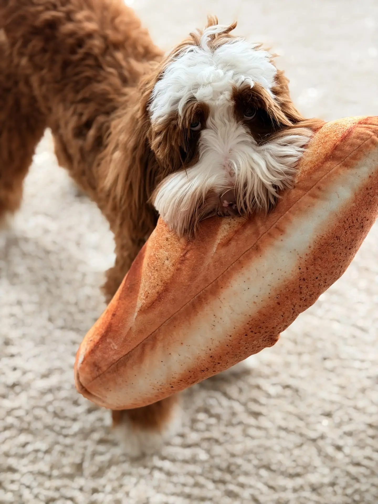 Валера и батон.🥖