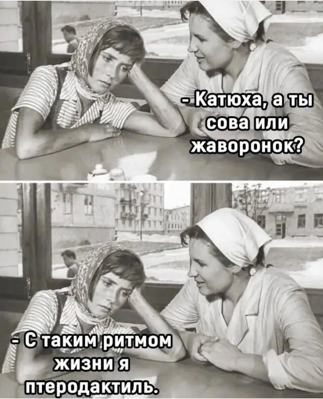 Изображение 1 к публикации «🤣 Юмор в картинках»