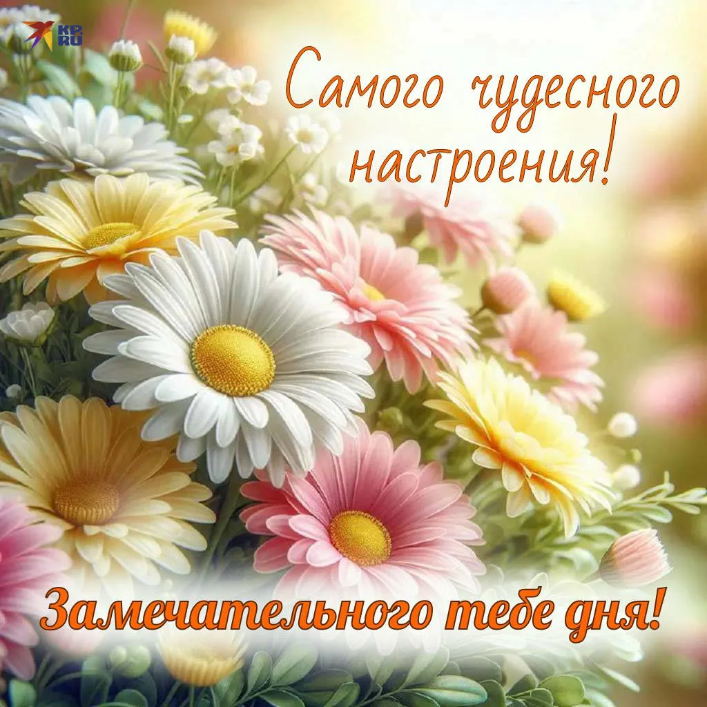 https://max.ru/se13912156_biz