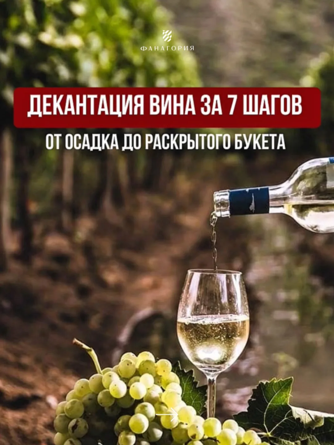 Декантация — это переливание вина из бутылки в декантер. Не просто ритуал, а полезная процедура: вин