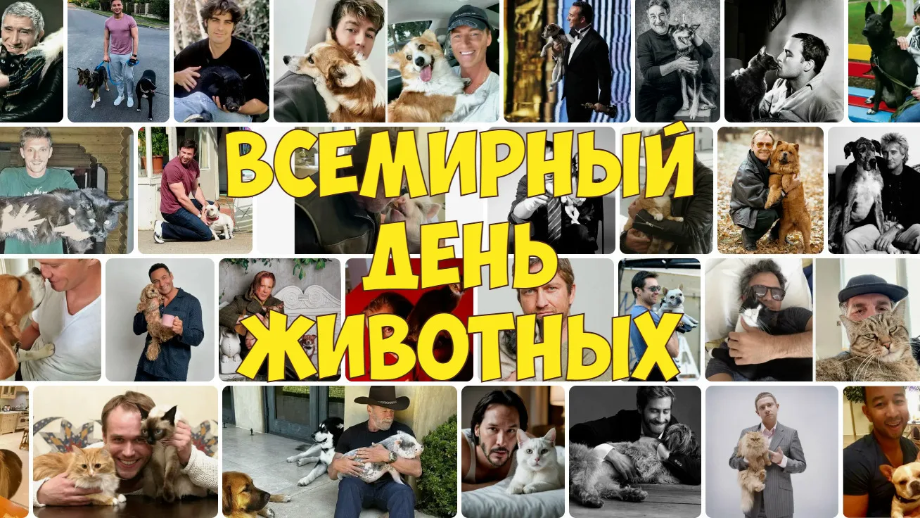 Сегодня празднуем Всемирный день животных