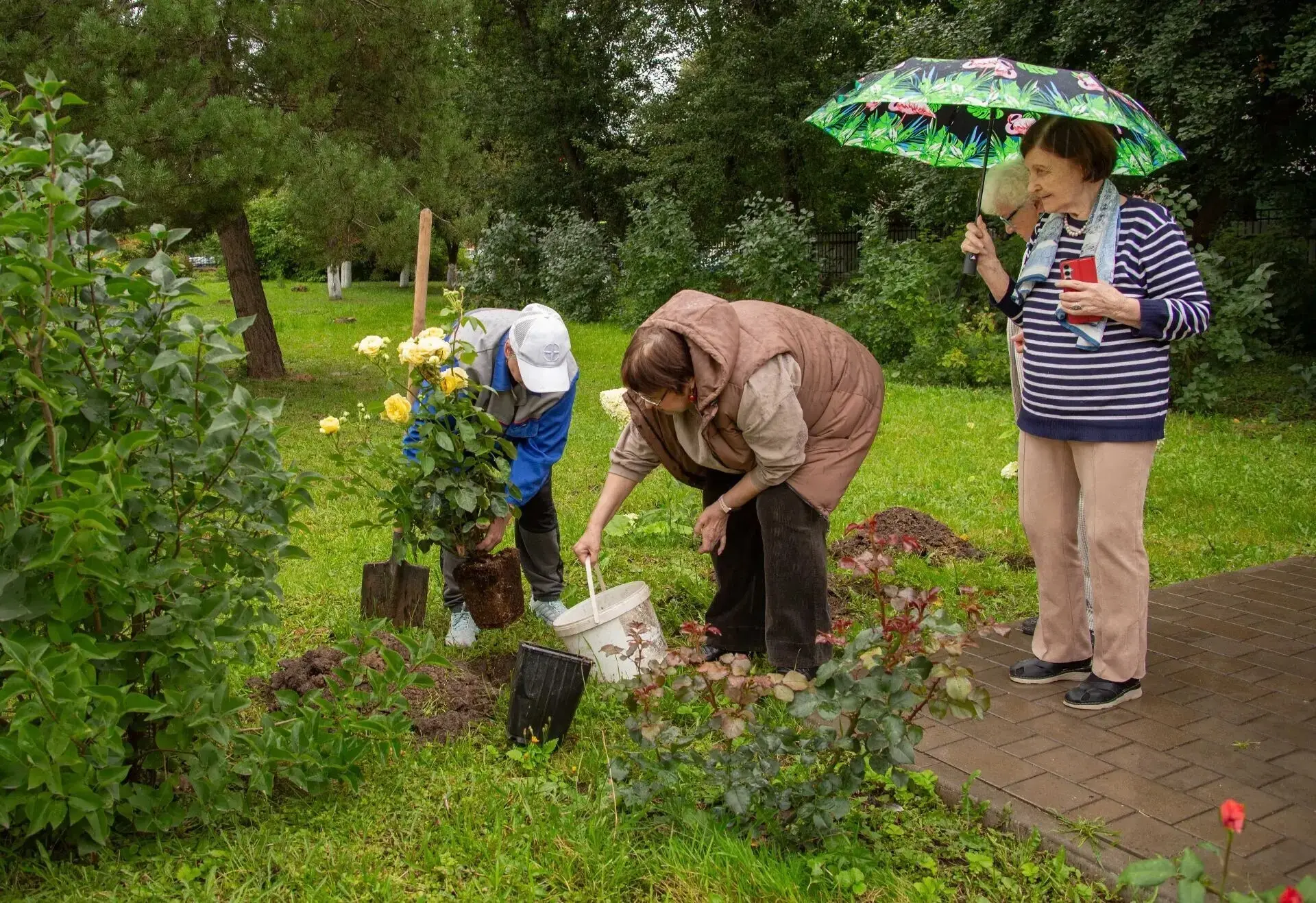В Музее П.Н. Крылова ко дню рождения художника высадили розы 🌹