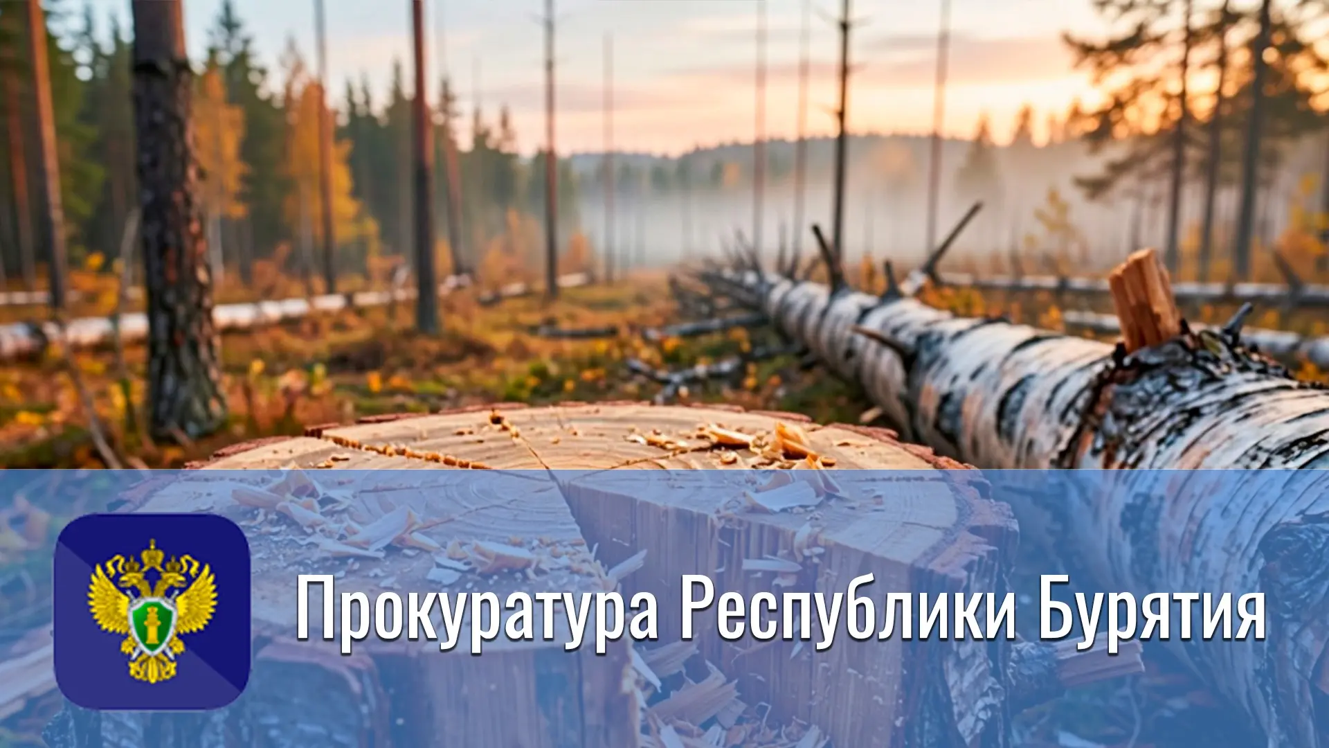 🇷🇺Прокуратура Джидинского района поддержала обвинение по делу о незаконной рубке леса

✅Прокуратур