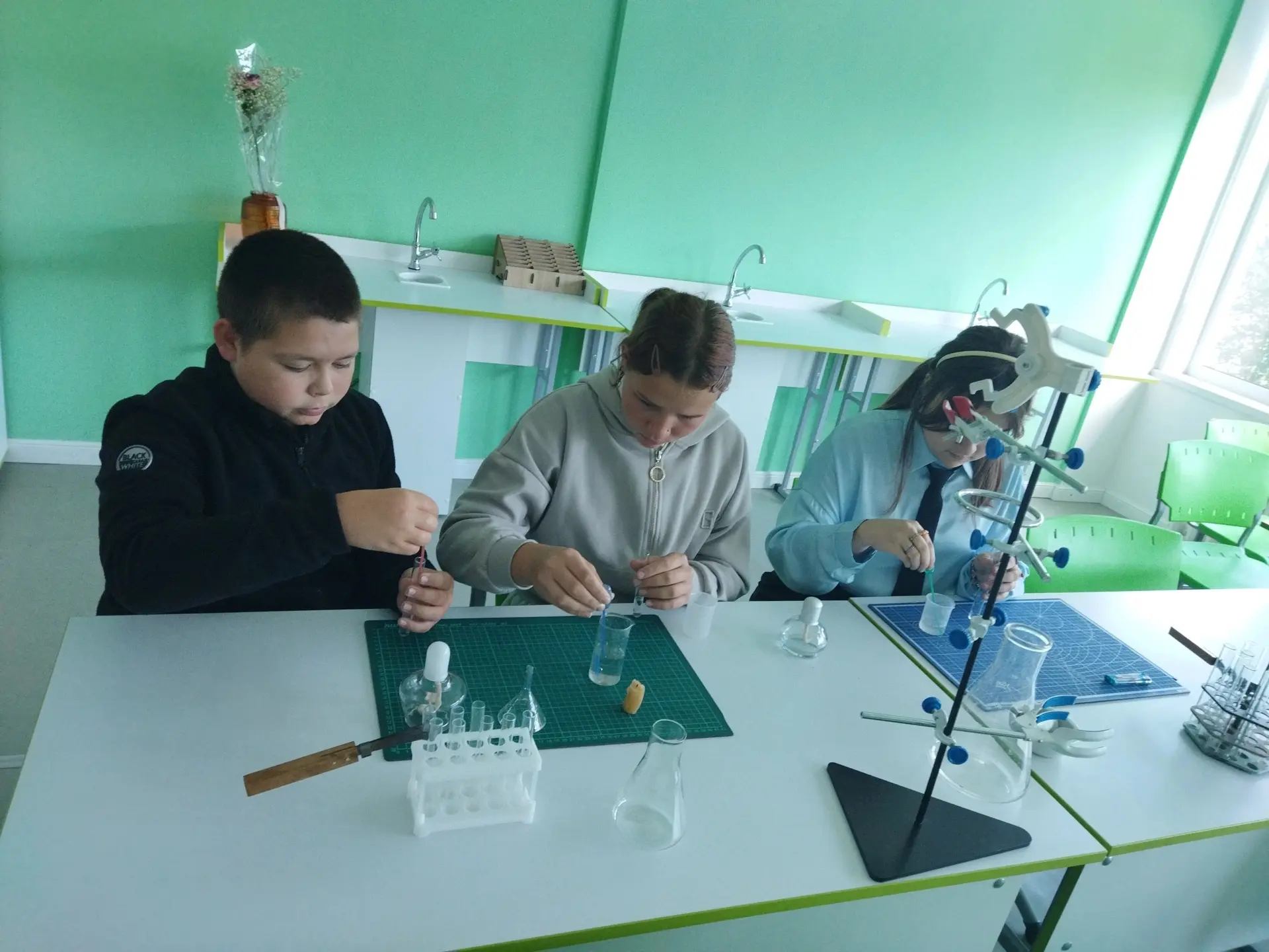 УРОК ХИМИИ. ТОЧКА РОСТА