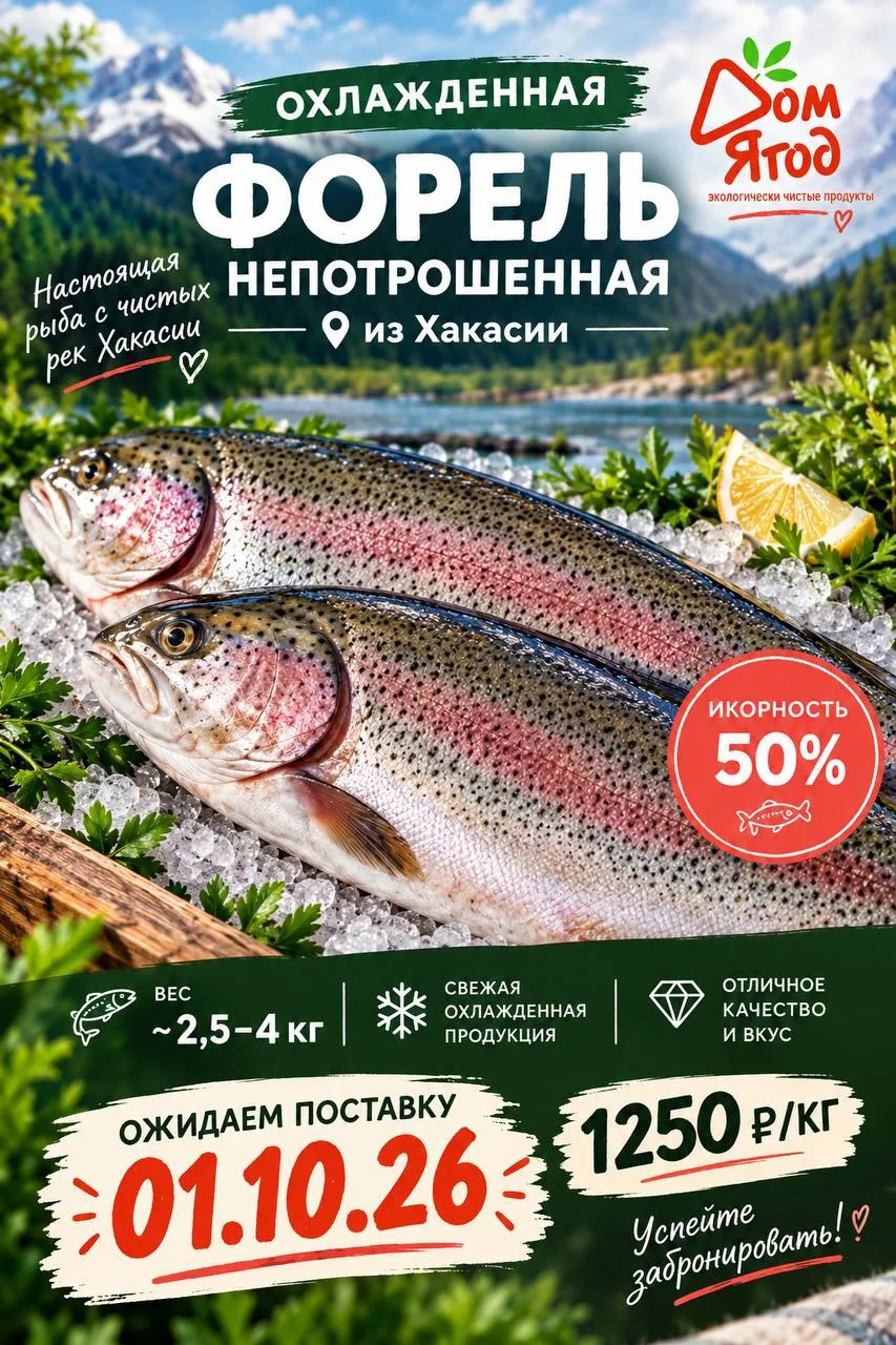 СВЕЖАЯ ОХЛАЖДЕННАЯ ФОРЕЛЬ