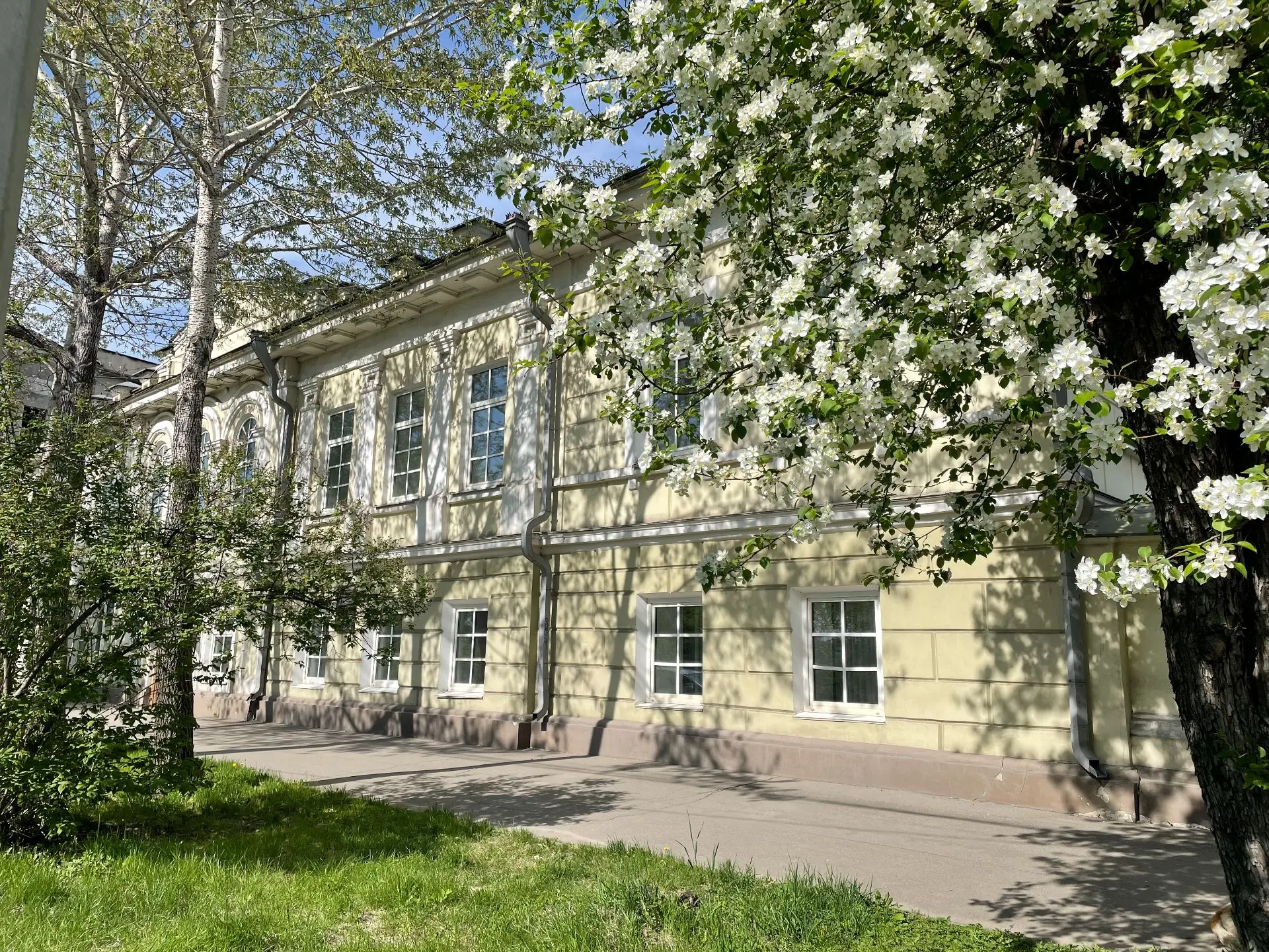 ☀️🌿Вот и наступил первый день лета!