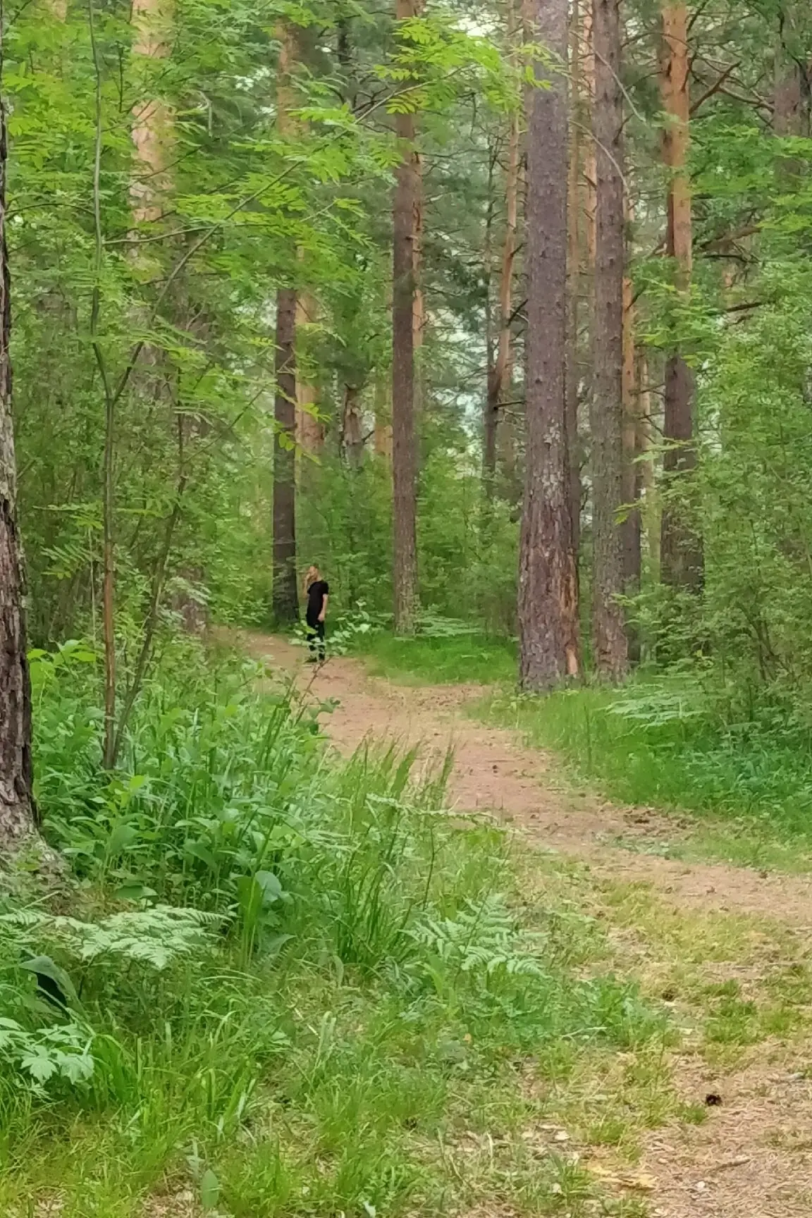Гуляла в парке Рериха(через дорогу от Тавдинских пещер) и заметила что за мной ходит один не совсем 