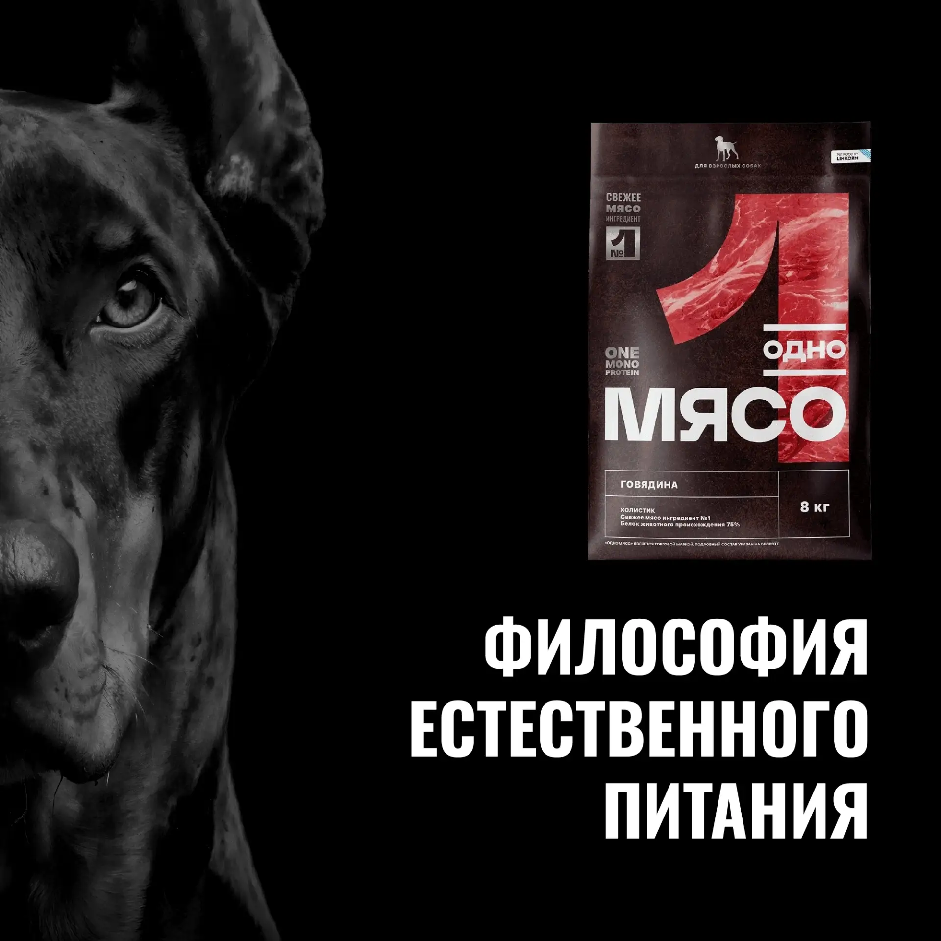 Сознательное потребление: выбирая лучшее питомцу, мы выбираем лучшее для себя