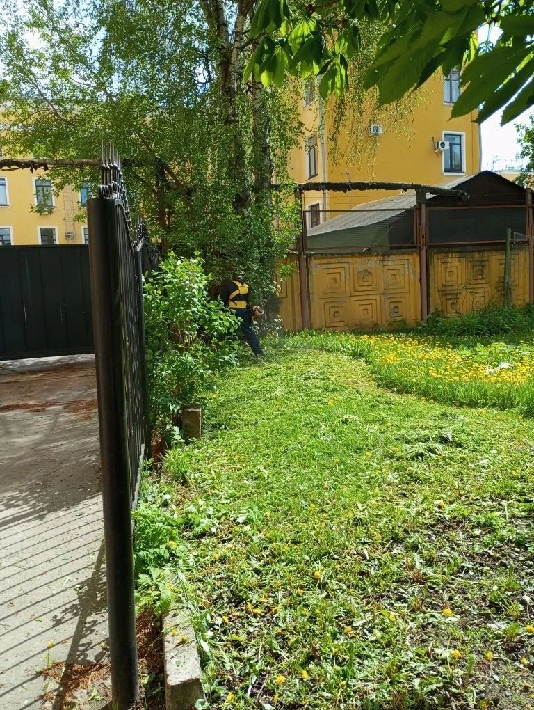 Уважаемые жители, доброго пятничного утра! Хотим поделиться некоторыми фотографиями сез...