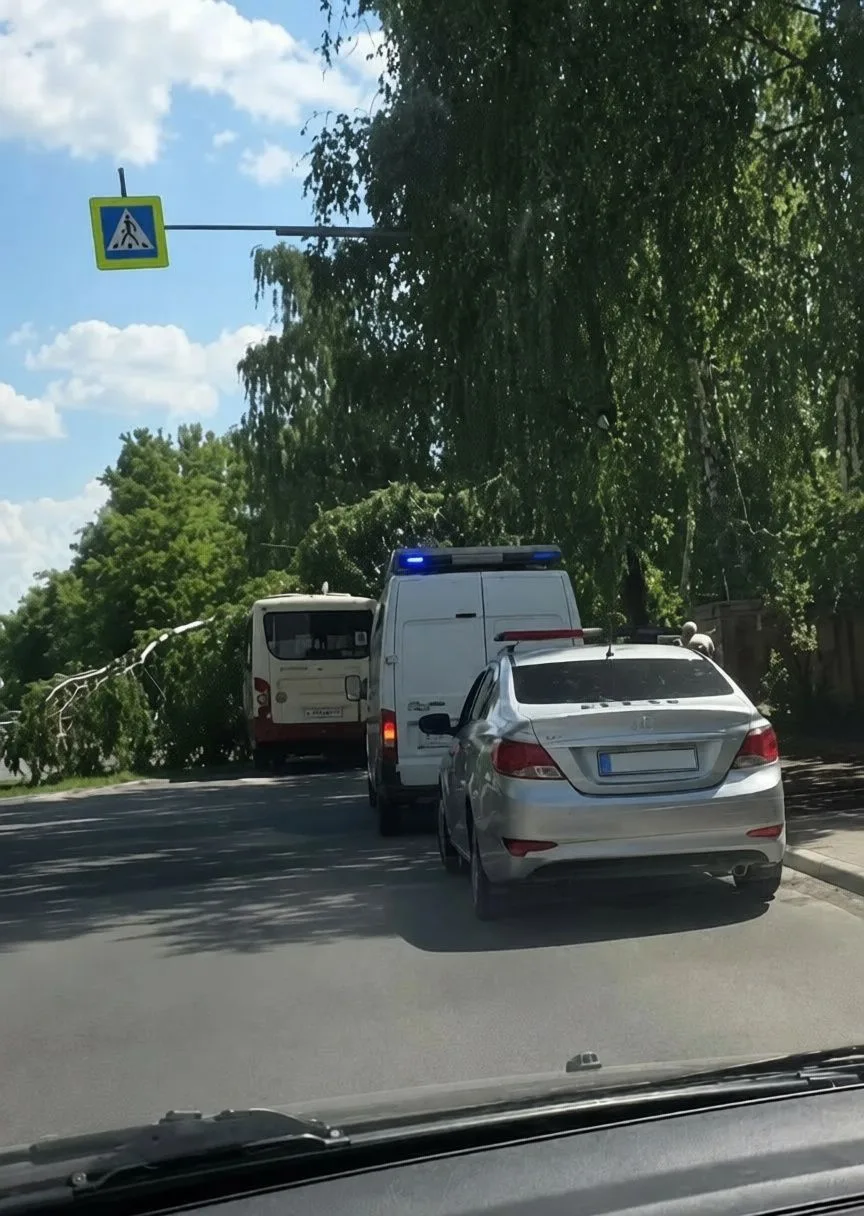 🤯 В подмосковном Щелково дерево упало на автобус. 

Об этом сообщают очевидцы. Инцидент произошел н