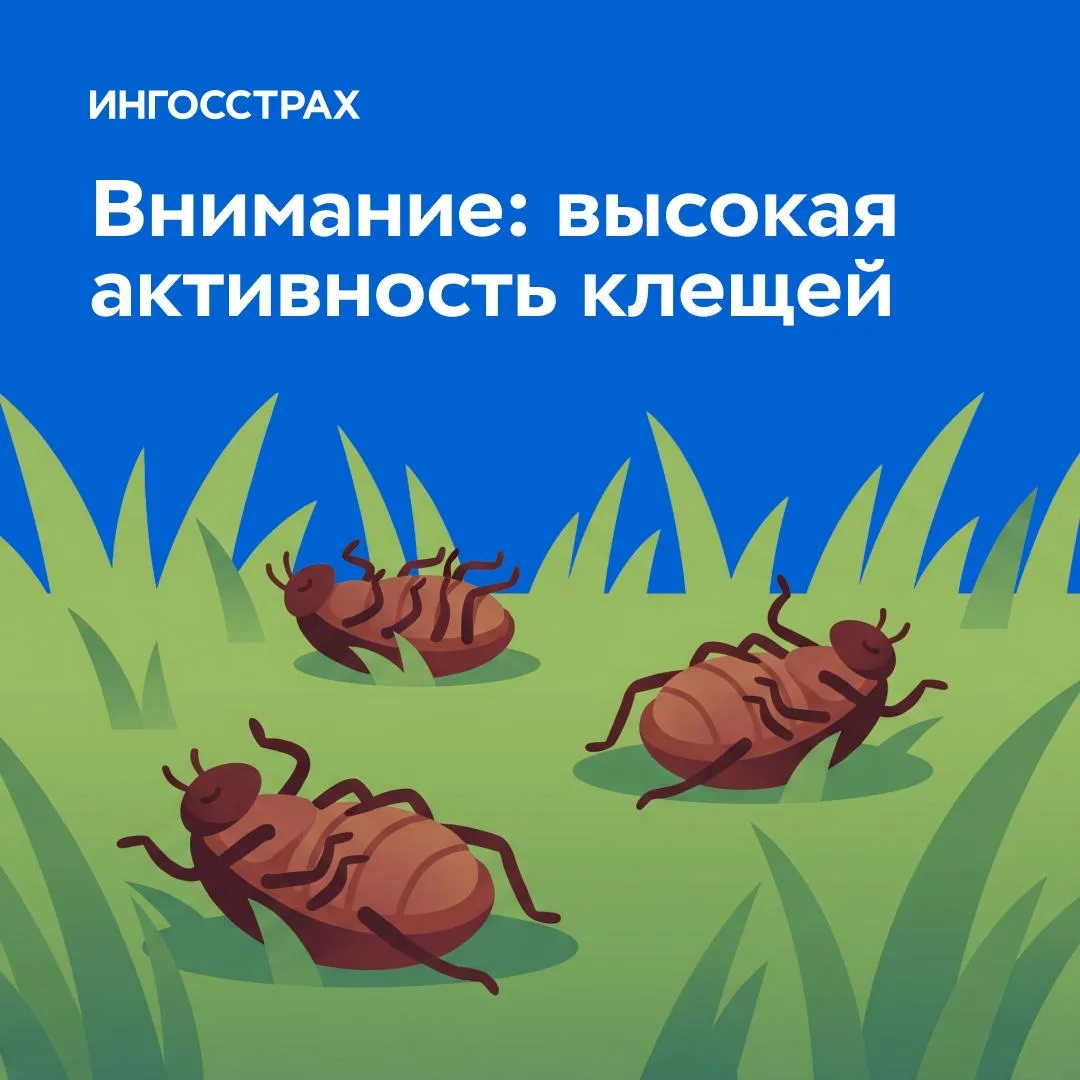 Что нужно знать о клещах 🐞
