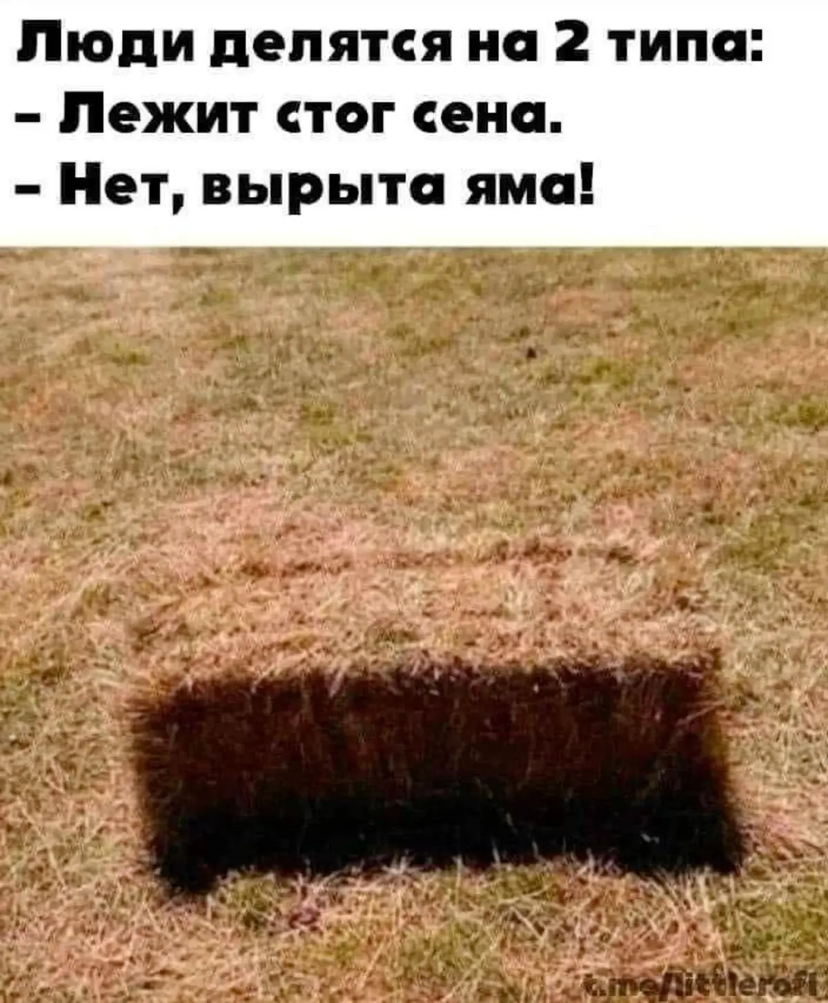 Кто что видит? 😁