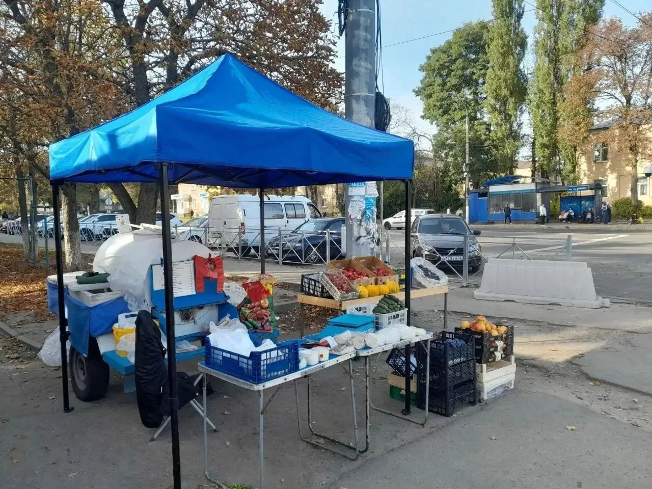 В администрации Курска напомнили о том, что работа по пресечению несанкционированной ул...