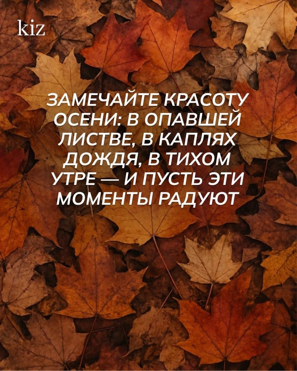Сегодня последний день лета — впереди нас ждет красивая, уютная осень 🍂