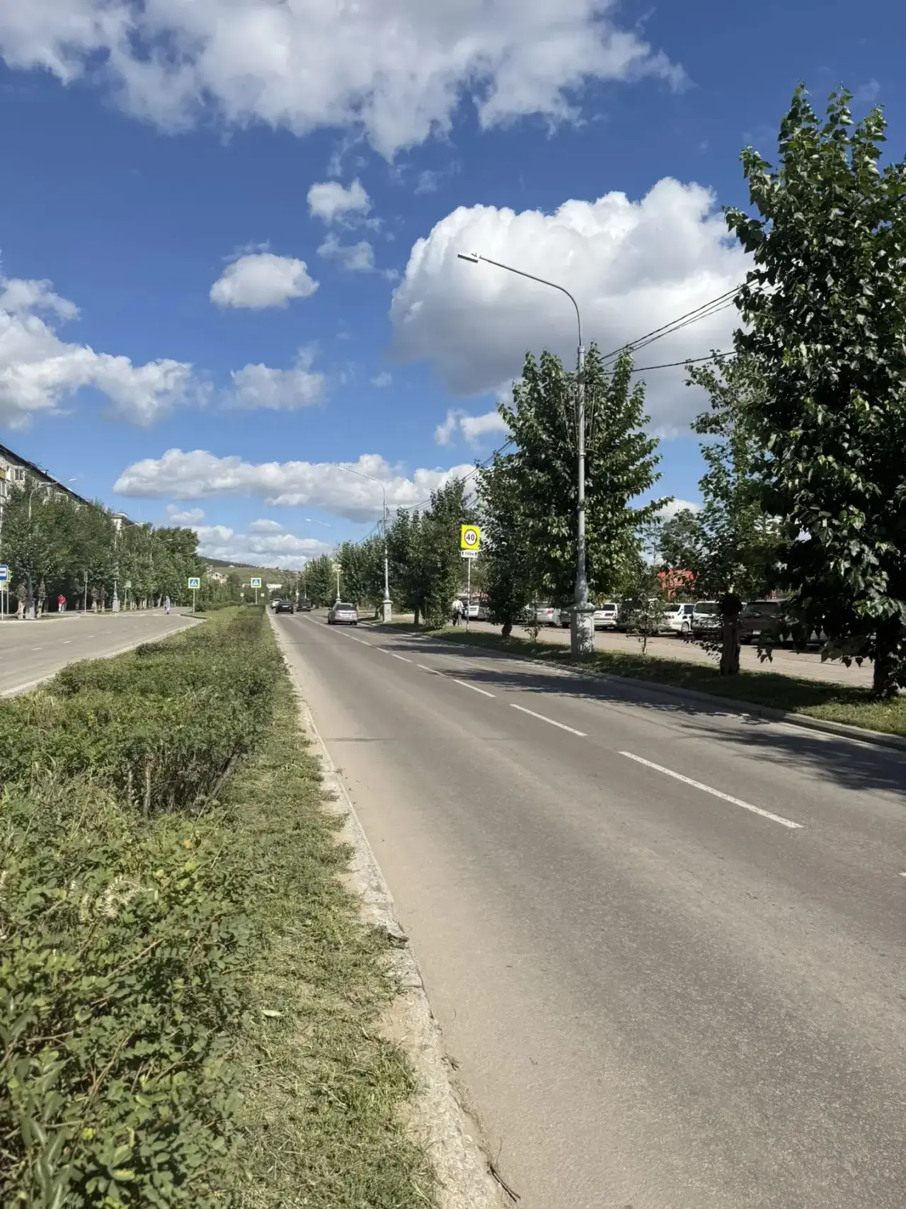 На Октябрьской появится зелёная «змейка» 🌿