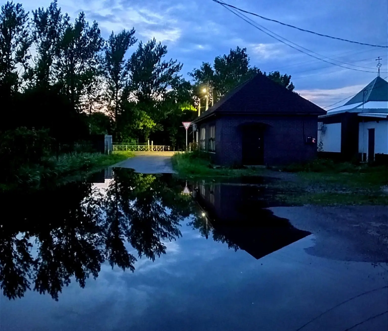 ✨Доброй и мирной ночи,
Горшечное! 🌙