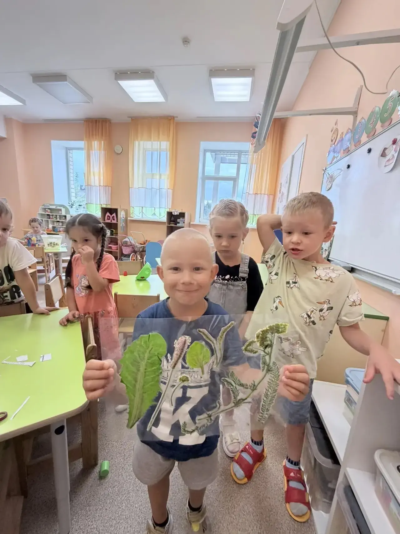 Сбор диких трав в группе «Гномики»…