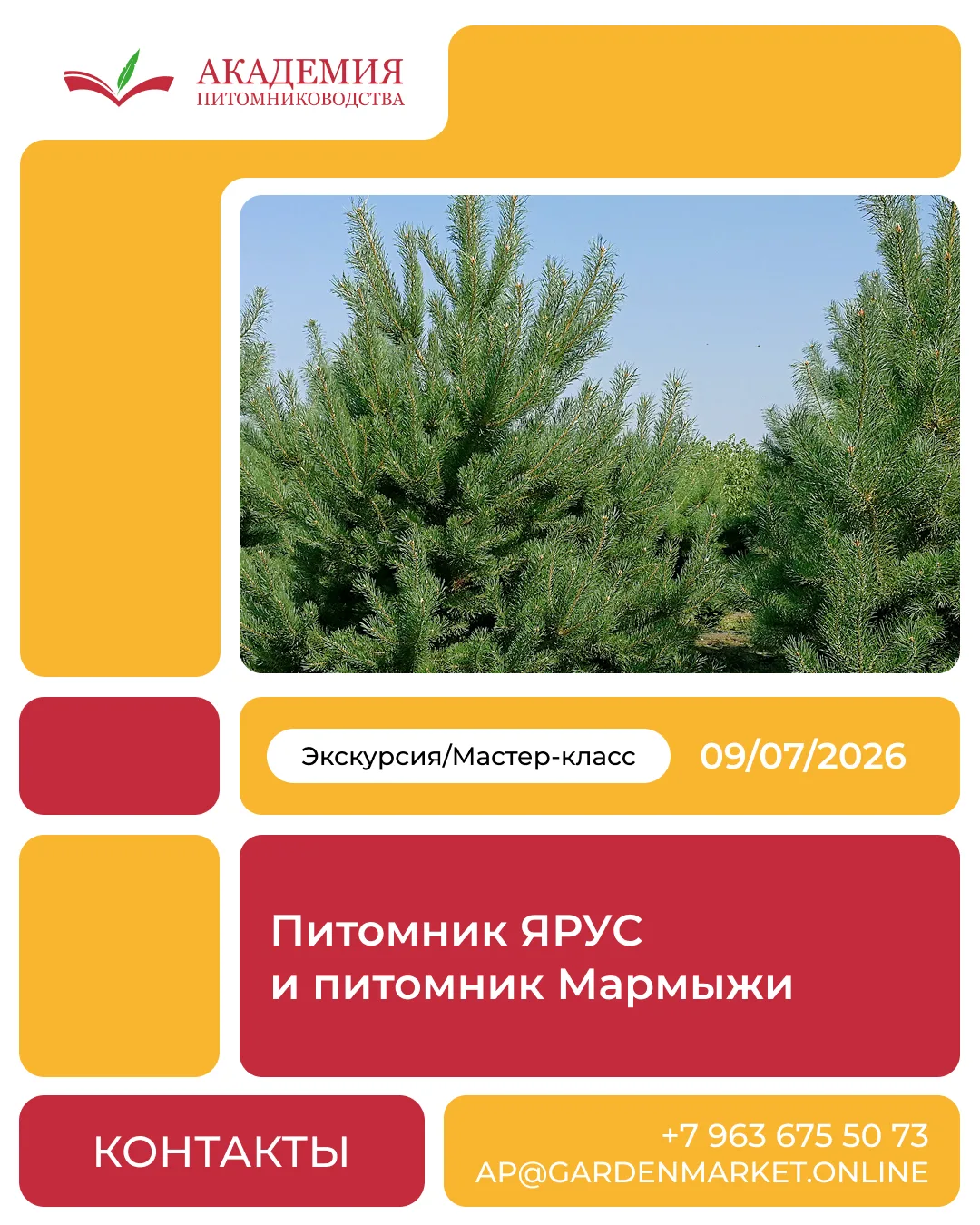 🏖️Время отправляться на юг

Сезон отпусков на носу, поэтому мы приглашаем вас ближе к югу – 9 июля 