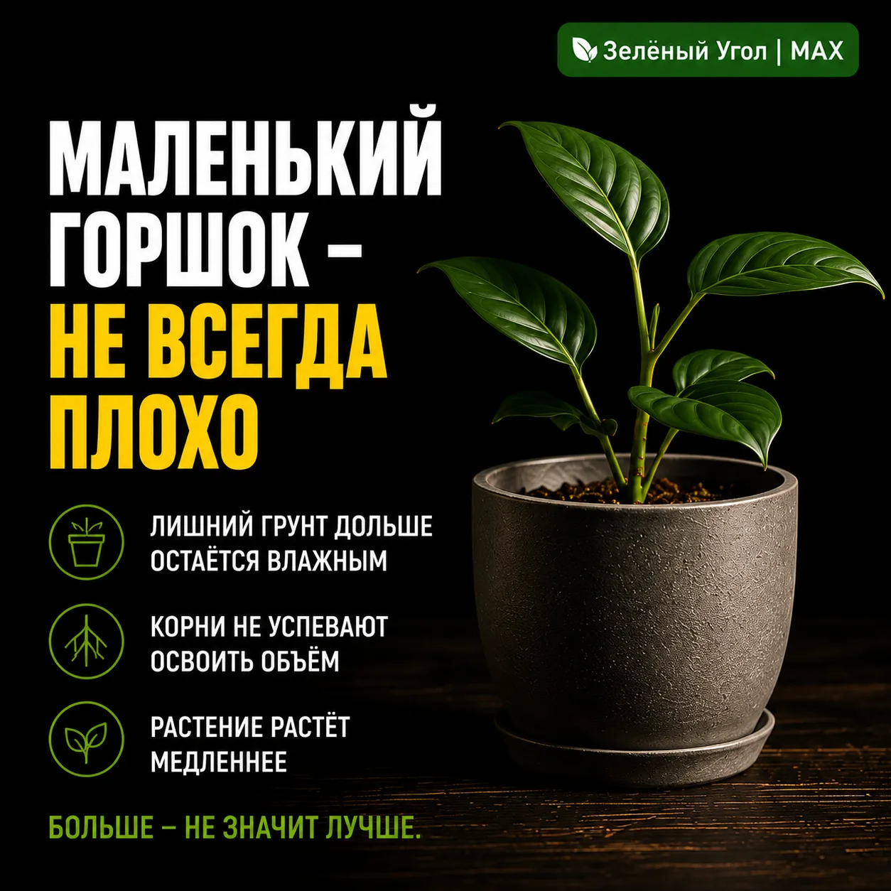 МАЛЕНЬКИЙ ГОРШОК — НЕ ВСЕГДА ПЛОХО
 
Кажется логичным сразу взять горшок побольше.
 
С запасом.
 
На
