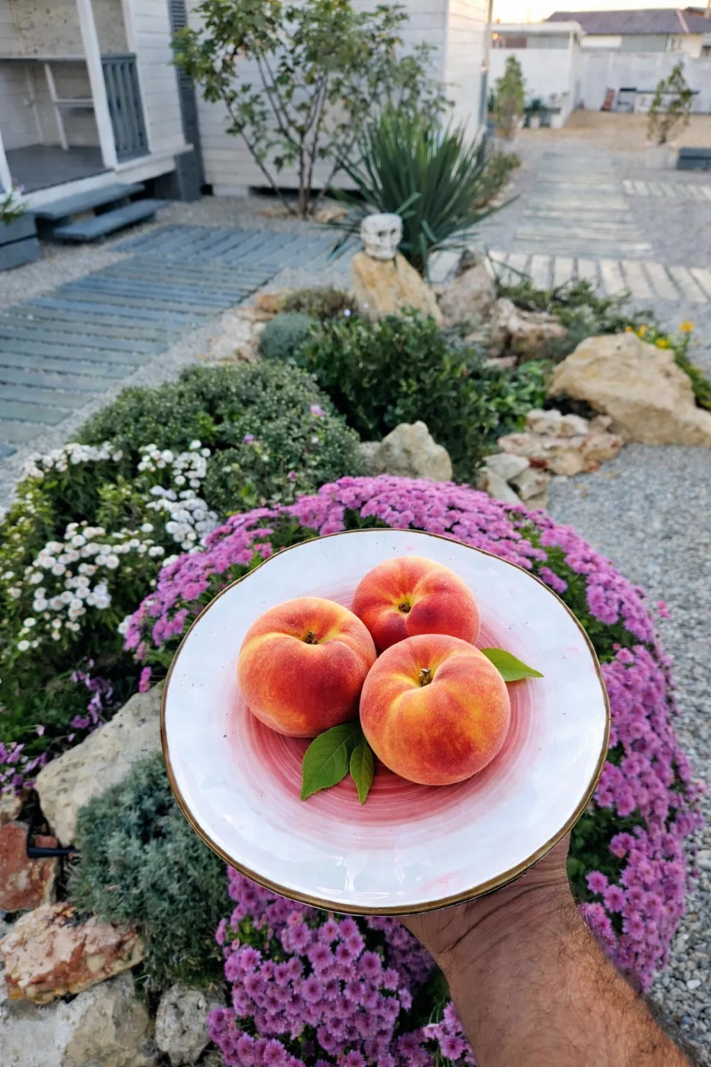 Любите персики и всё сочное? Тогда июль - ваш месяц 🍑  Июль в Крыму - это когда выходишь за фруктами
