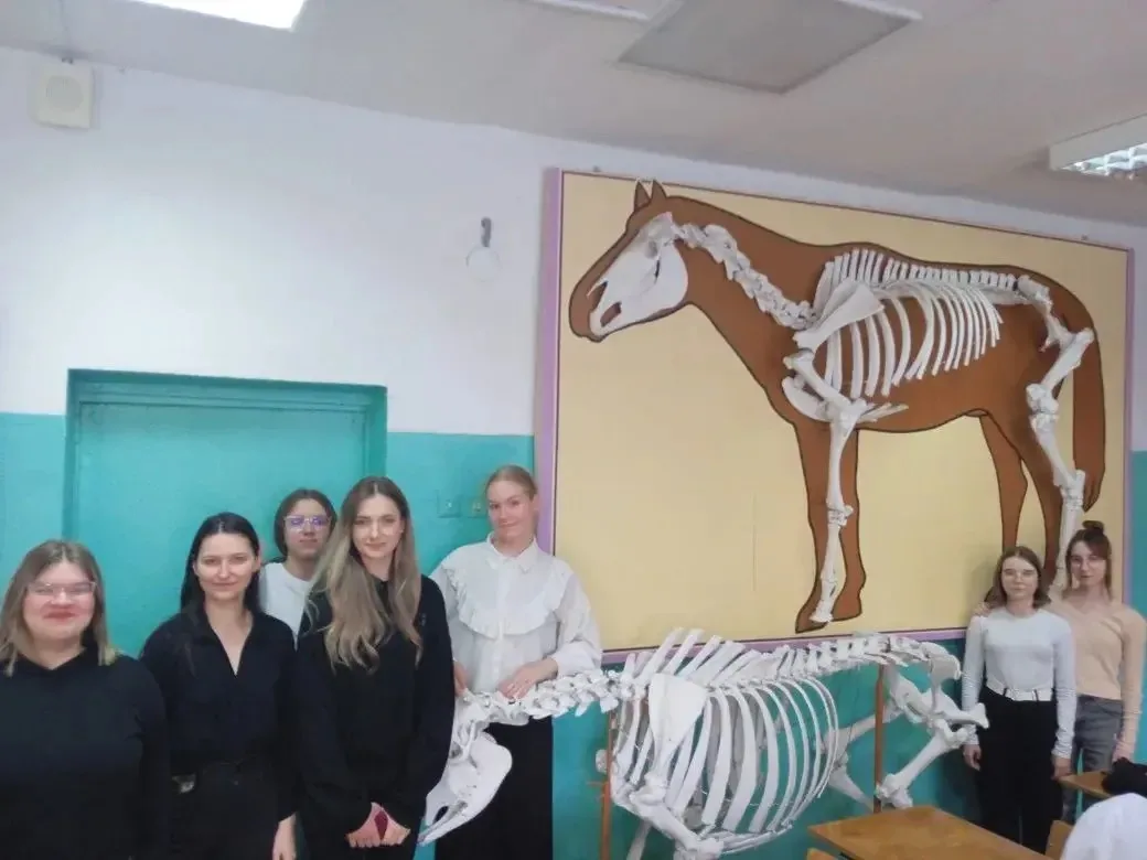 🐮 ЗАБОТА О ДОМАШНИХ ЖИВОТНЫХ   🐈 Выпускницы Колледжа народного хозяйства познакомили наших юных вете