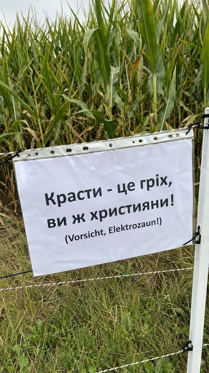 В Германии трое украинцев украли 300 кг кукурузы с поля, против них возбуждено дело, — ...