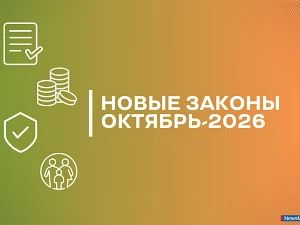Какие законы вступят в силу в октябре