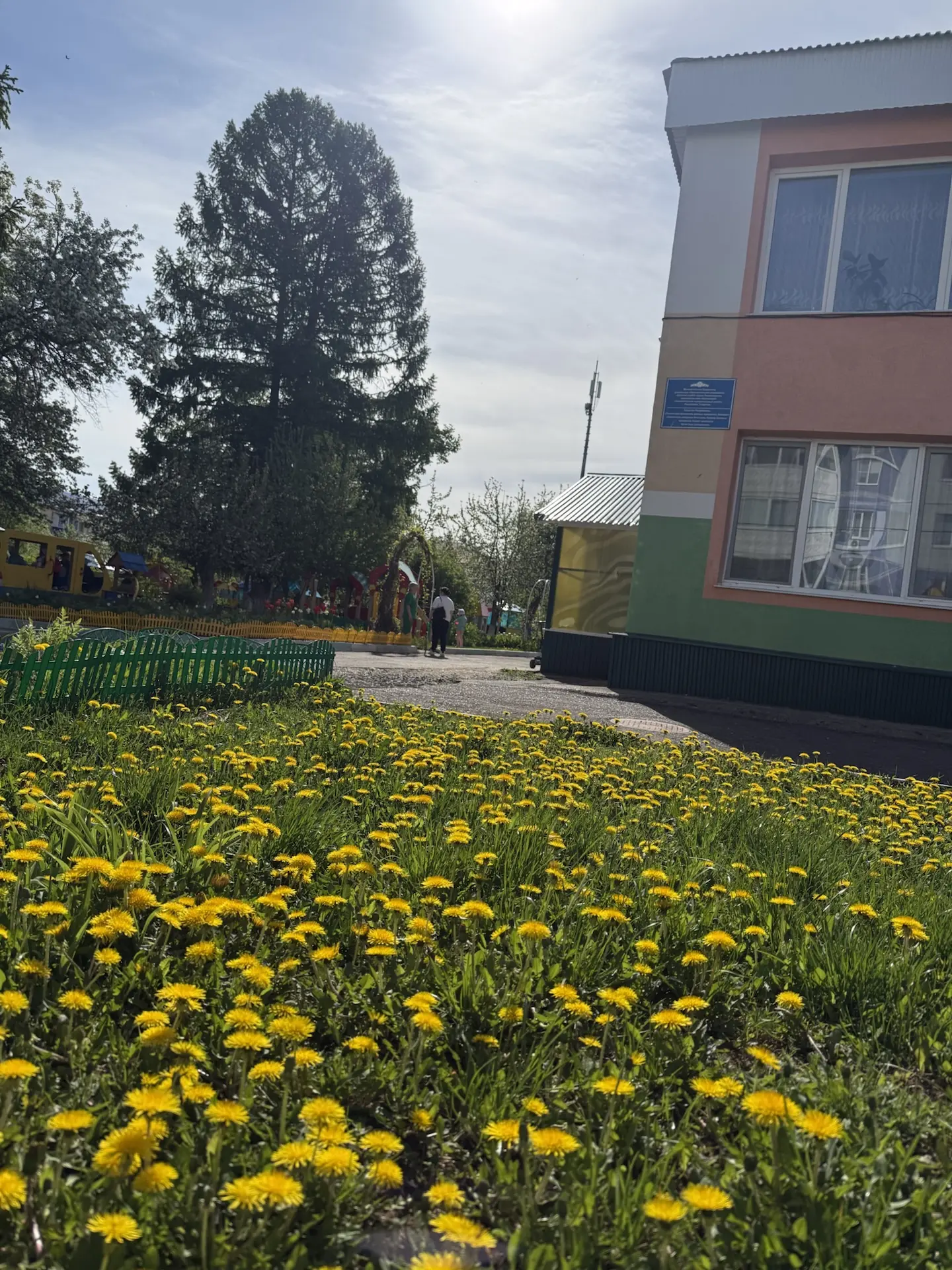 Есть на свете чудо сад!💐