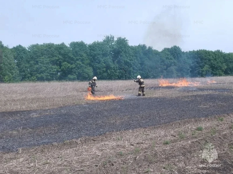 ❗️В Верховском районе подтвердились 2 термоточки, как горение сухой травы   За прошедшие сутки орлов