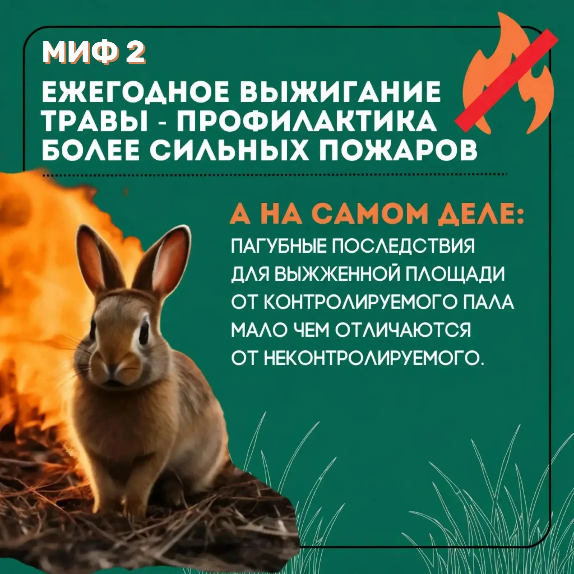 🔥 Пал травы может обернуться трагедией!  Многие знают об опасности, однако, несмотря на это, за неде