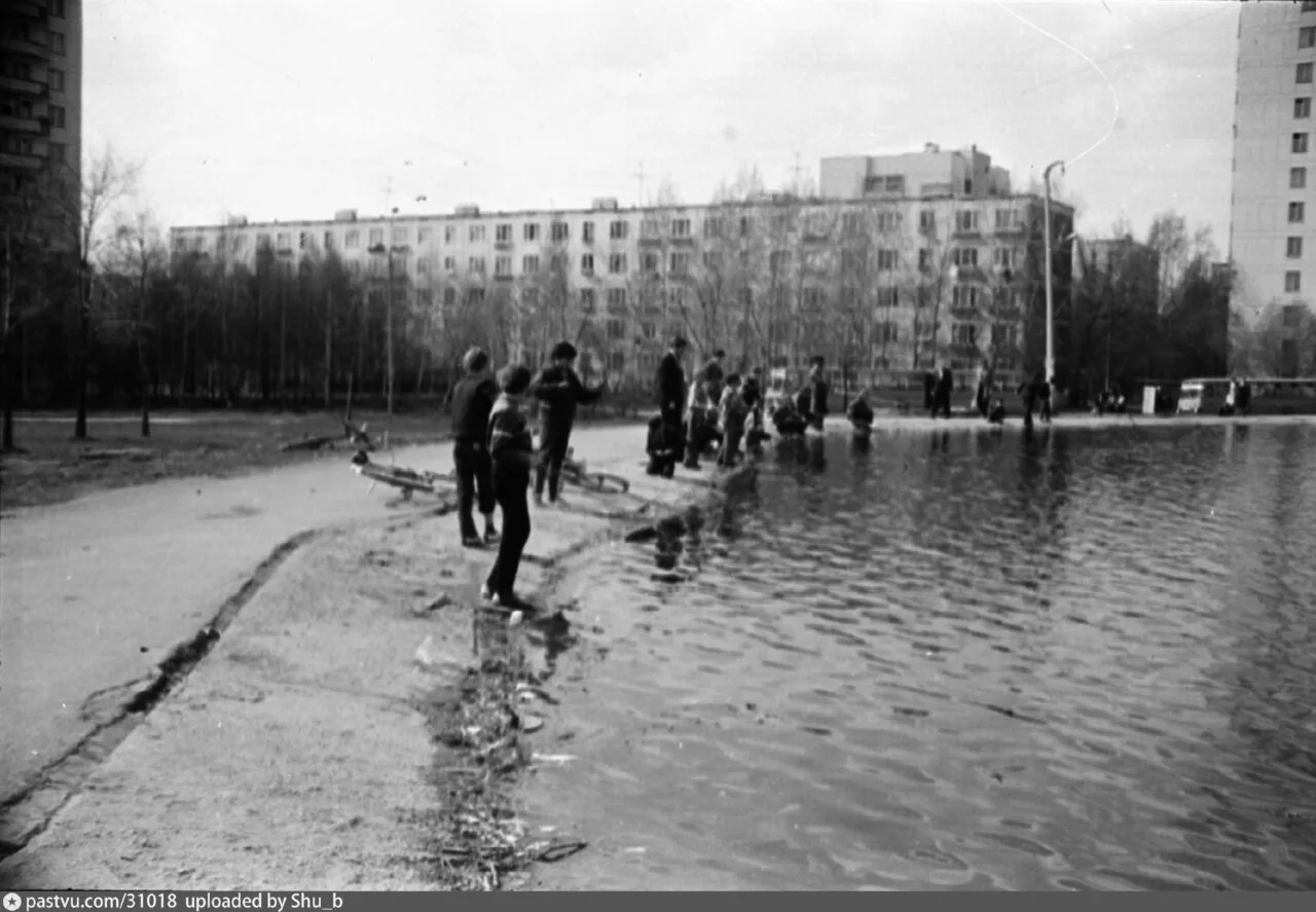 Пруд, Ангарская