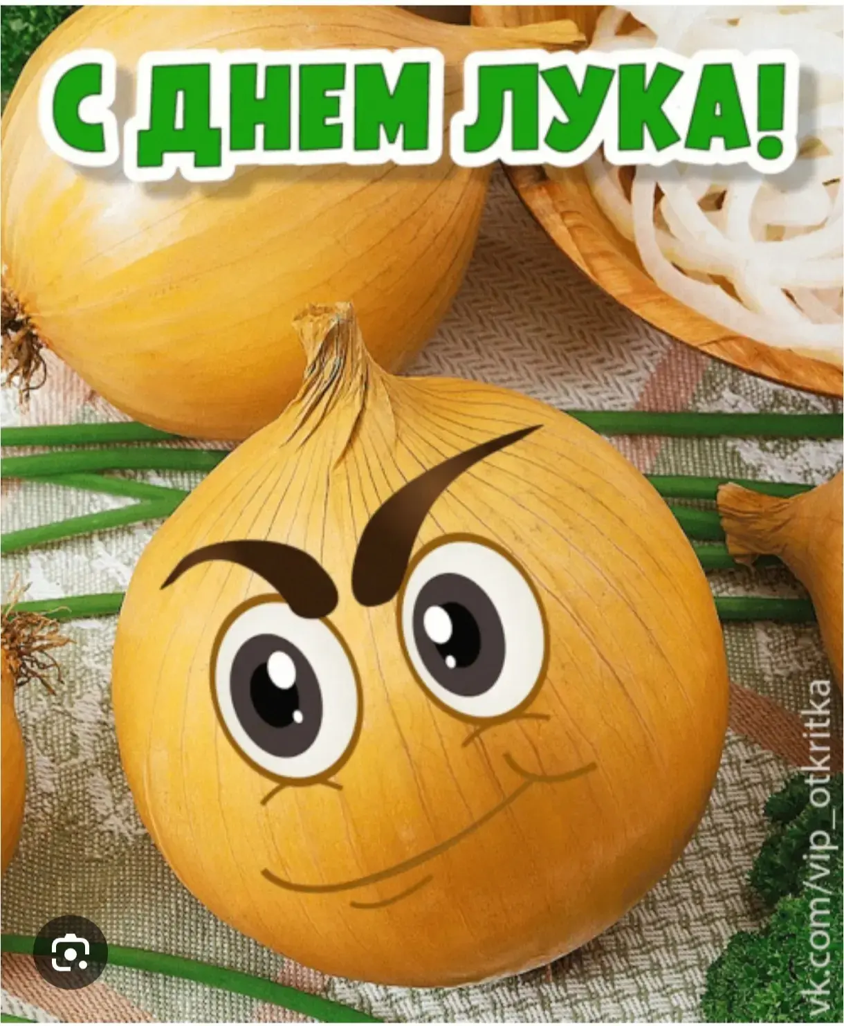 Сегодня 5 мая отмечается Луков День! В народном календаре праздник связан с высадкой лу...
