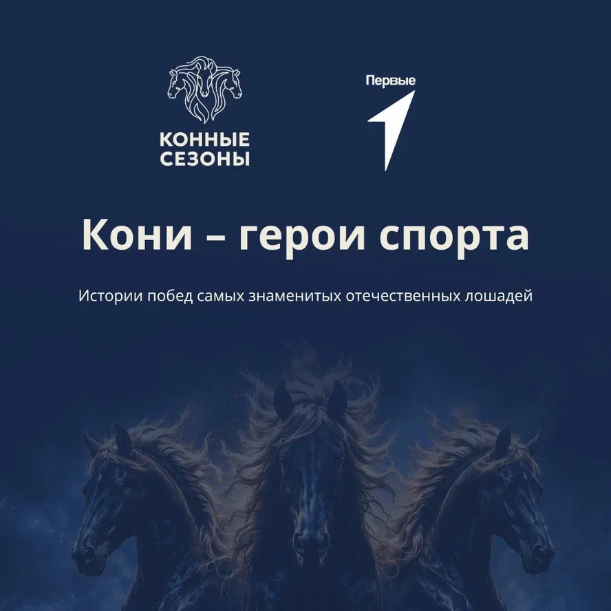 🐎 И-го-го, какие рекорды!