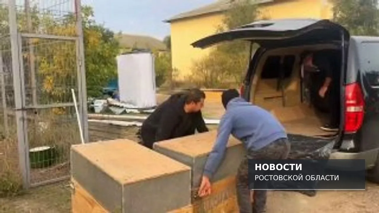 В ростовский зоопарк привезли пятимесячных львят — брата и сестру