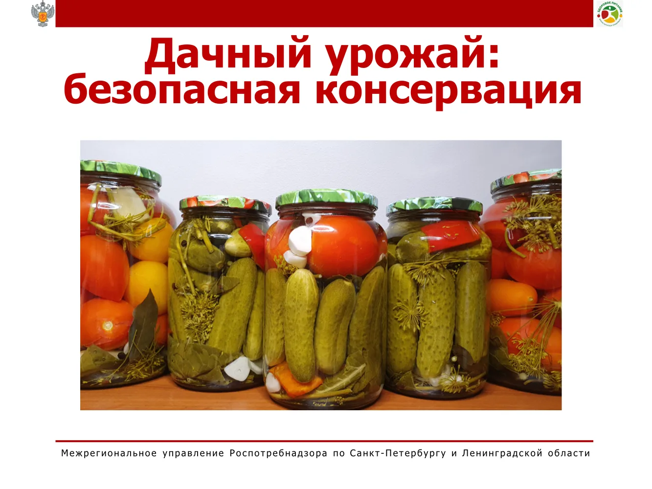 🥫 Дачный урожай: как сохранить вкус лета без риска для здоровья