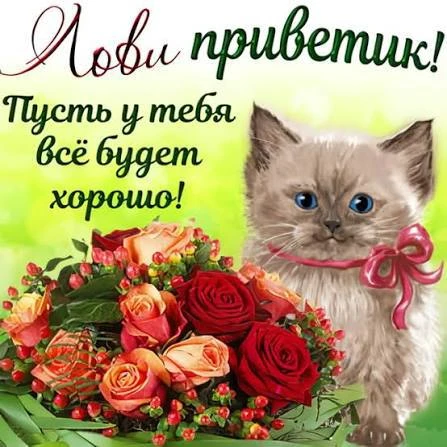 Открытки спасли жизнь: соседи вовремя заметили тревожный сигнал 😱 

Жительница Москвы каждый день о