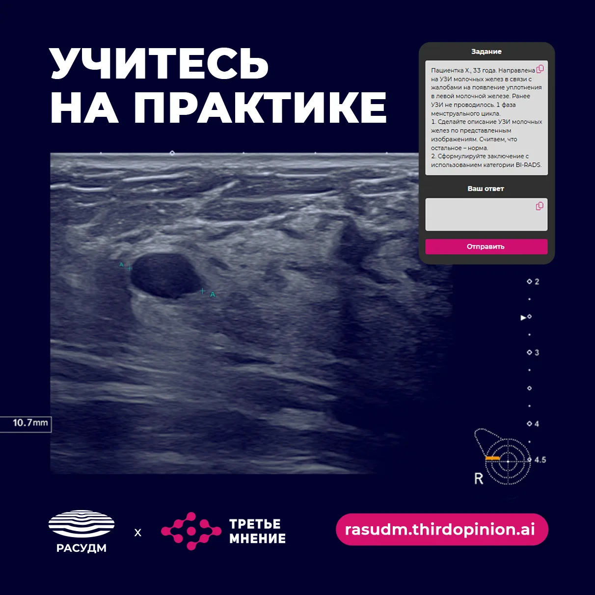 💻 Дорогие коллеги, напоминаем, что на образовательной платформе РАСУДМ доступны интера...