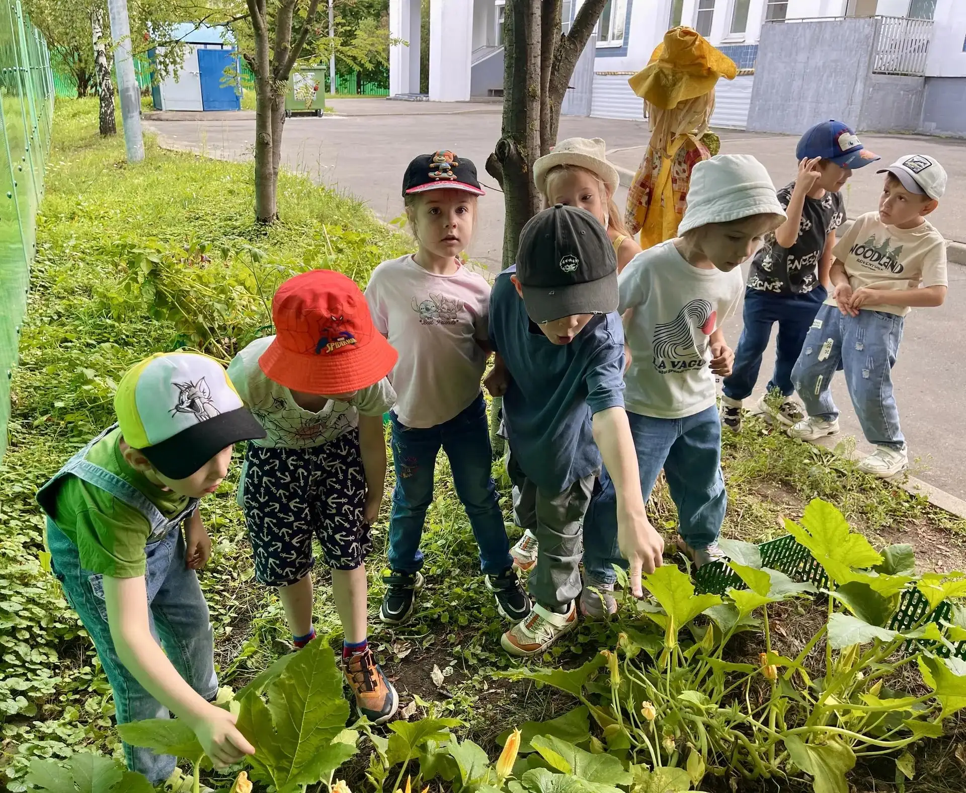 🌱 От семечка - до урожая! 🎉

Дошкольник - это маленький исследователь: он с радостью и удивлением 