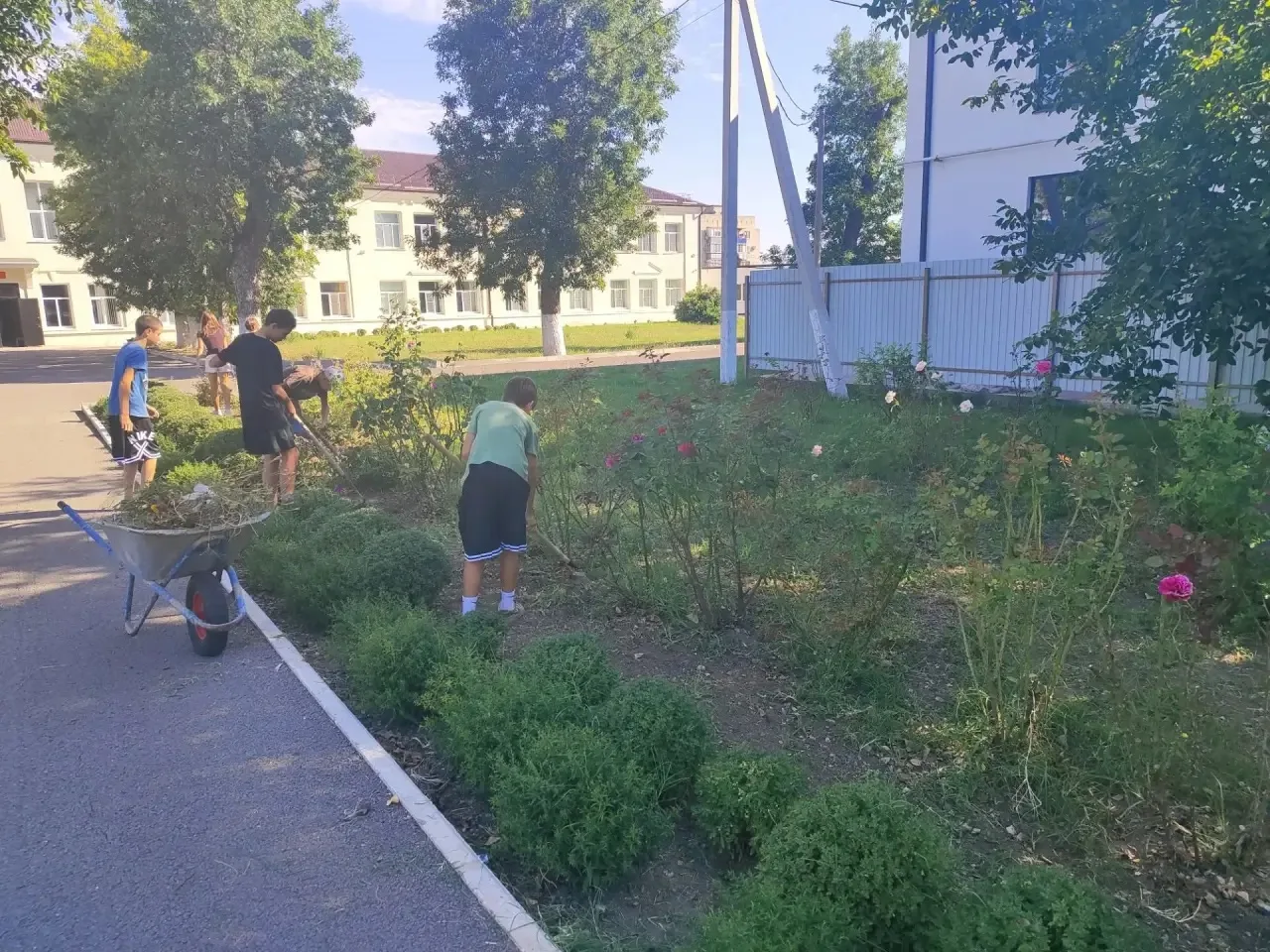 В школе продолжается летняя трудовая практика обучающихся