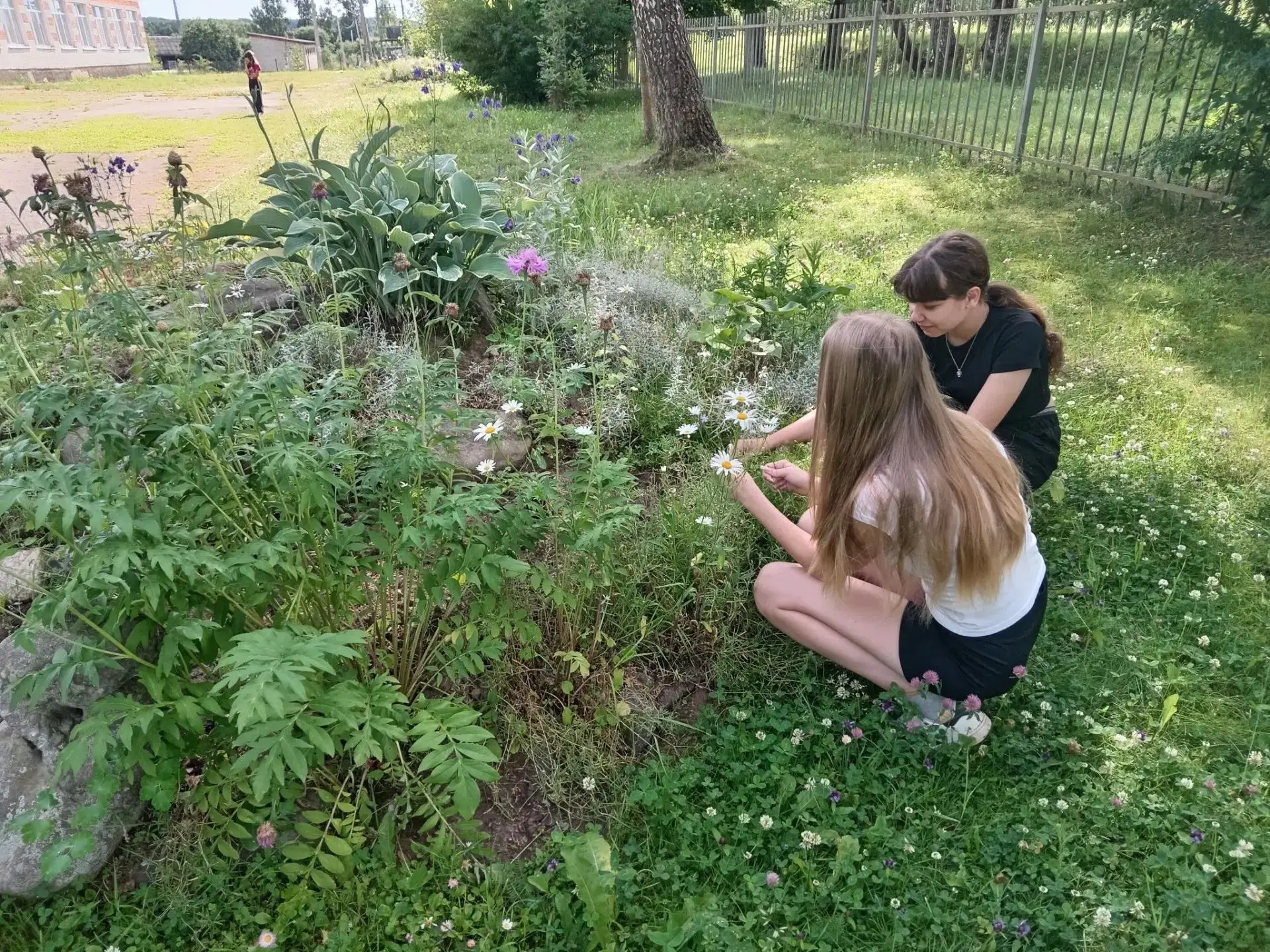 👍"ХОРОШИ НАШИ АЛЬПИЙСКИЕ ГОРКИ!"
🌸В летнее время клумбы нашей школы в прекрасном состоянии! А альп